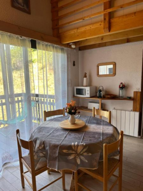 Duplex avec belle terrasse au pied des pistes